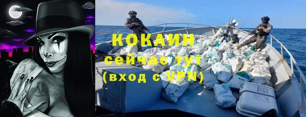 ГАЛЛЮЦИНОГЕННЫЕ ГРИБЫ Няндома