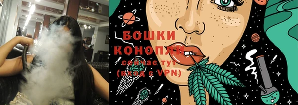 ГАЛЛЮЦИНОГЕННЫЕ ГРИБЫ Няндома