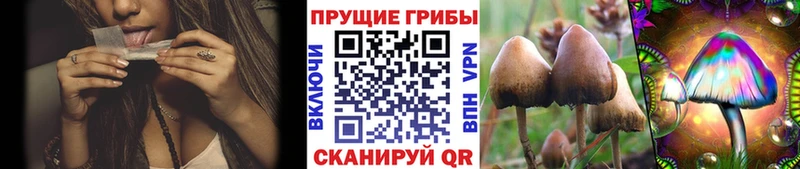 Галлюциногенные грибы GOLDEN TEACHER Саров