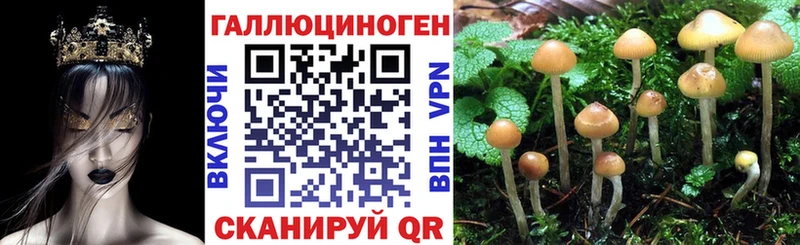 нарко площадка состав  купить  цена  Саров  Галлюциногенные грибы Magic Shrooms 