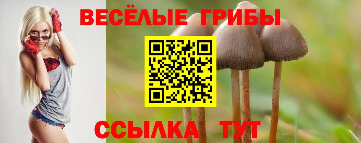 Псилоцибиновые грибы прущие грибы Саров