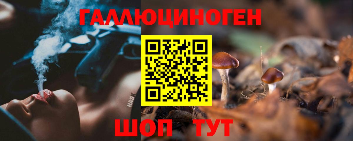 Галлюциногенные грибы Cubensis  Вход с VPN  Саров 
